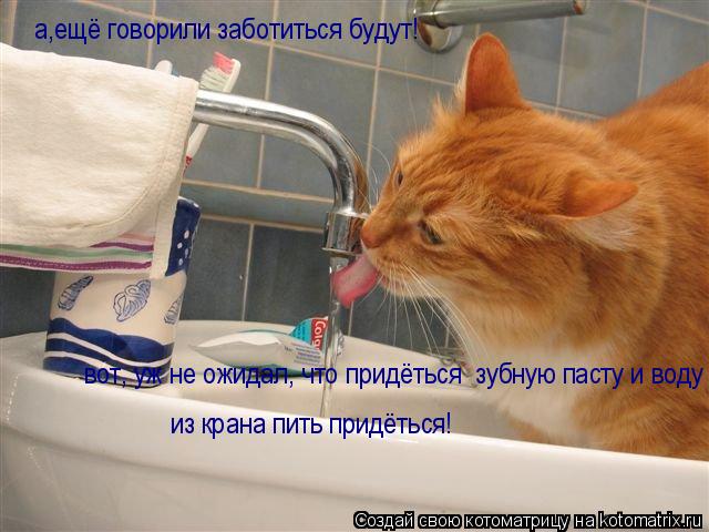 а,ещё говорили заботиться будут! вот, уж не ожидал, что придёться зубную пасту и воду из крана пить ... Котоматрица: а,ещё говорили заботиться будут! вот, уж не ожидал, что придёться зубную пасту и воду из крана пить придёться! из крана пить придёться!