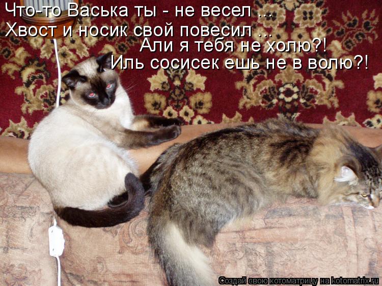 Что-то Васька ты - не весел ... Хвост и носик свой повесил ... Али я тебя не холю?! Иль сосисек ешь н... Котоматрица: Что-то Васька ты - не весел ... Хвост и носик свой повесил ... Али я тебя не холю?! Иль сосисек ешь не в волю?!