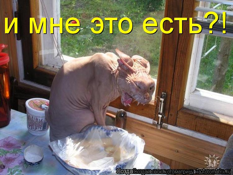 и мне это есть?!... Котоматрица: и мне это есть?!