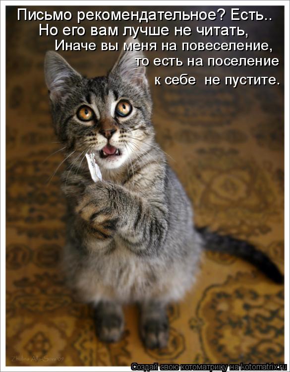 то есть на поселение Письмо рекомендательное? Есть.. Но его вам лучше не читать, к себе не пустите.... Котоматрица: то есть на поселение Письмо рекомендательное? Есть.. Но его вам лучше не читать, к себе не пустите. Иначе вы меня на повеселение,