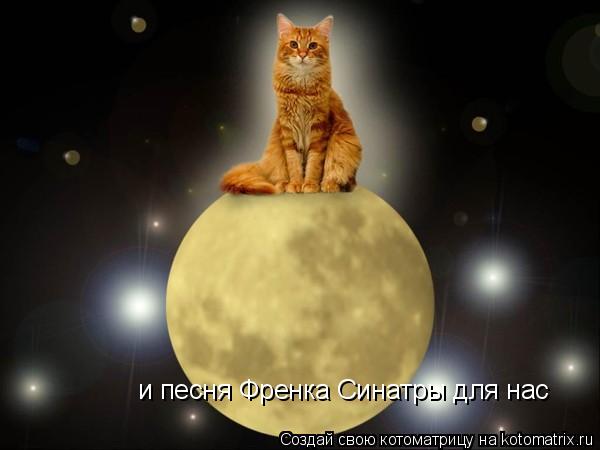 и песня Френка Синатры для нас... Котоматрица: и песня Френка Синатры для нас