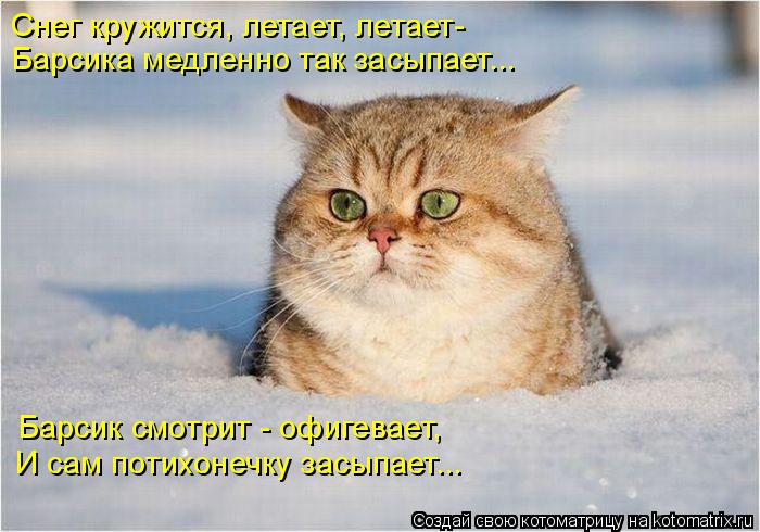 Барсика медленно так засыпает... Снег кружится, летает, летает- Барсик смотрит - офигевает, И сам пот... Котоматрица: Барсика медленно так засыпает... Снег кружится, летает, летает- Барсик смотрит - офигевает, И сам потихонечку засыпает...