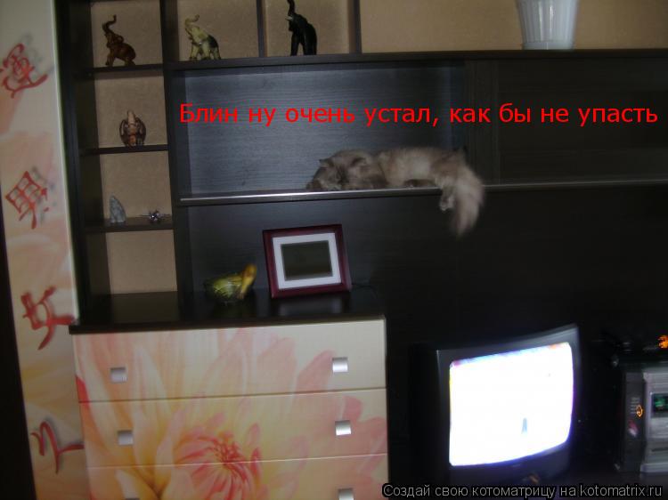 Блин ну очень устал, как бы не упасть Блин ну очень устал, как бы не упасть... Котоматрица: Блин ну очень устал, как бы не упасть Блин ну очень устал, как бы не упасть