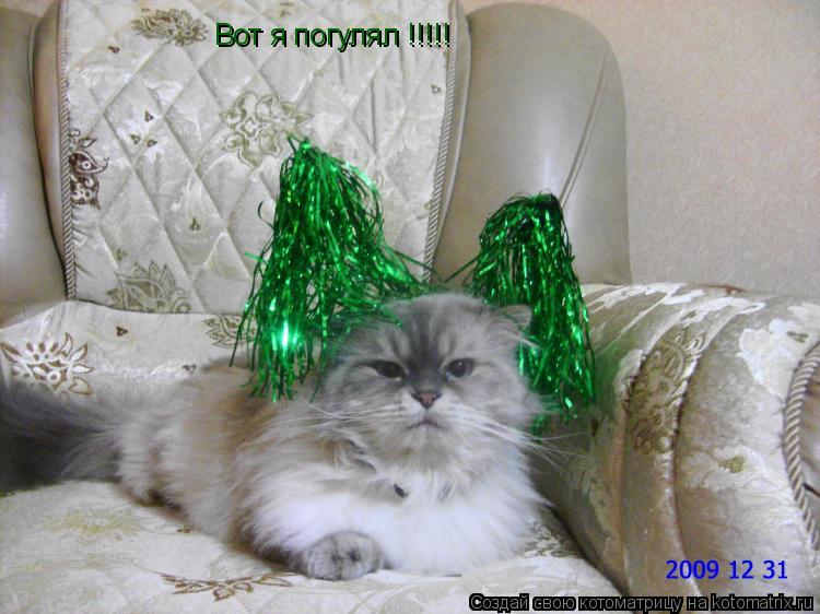 Вот я погулял !!!!!... Котоматрица: Вот я погулял !!!!!
