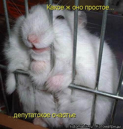 Какое ж оно простое... ...депутатское счастье... Котоматрица: Какое ж оно простое... ...депутатское счастье