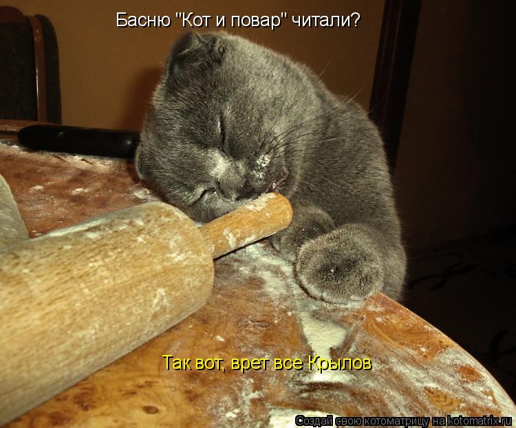 Басню "Кот и повар" читали? Так вот, врет все Крылов... Котоматрица: Басню "Кот и повар" читали? Так вот, врет все Крылов
