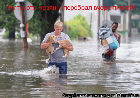 Ну ты это, хозяин, перебрал вчера пивка!!!... Котоматрица: Ну ты это, хозяин, перебрал вчера пивка!!!