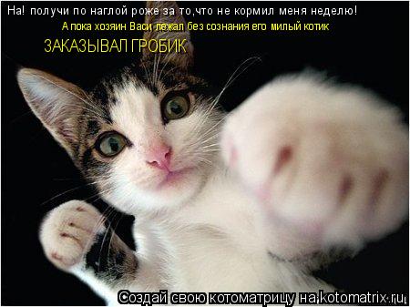 На! получи по наглой роже за то,что не кормил меня неделю! А пока хозяин Васи лежал без сознания его ... Котоматрица: На! получи по наглой роже за то,что не кормил меня неделю! А пока хозяин Васи лежал без сознания его милый котик ЗАКАЗЫВАЛ ГРОБИК