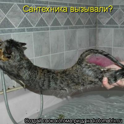 Сантехника вызывали?... Котоматрица: Сантехника вызывали?