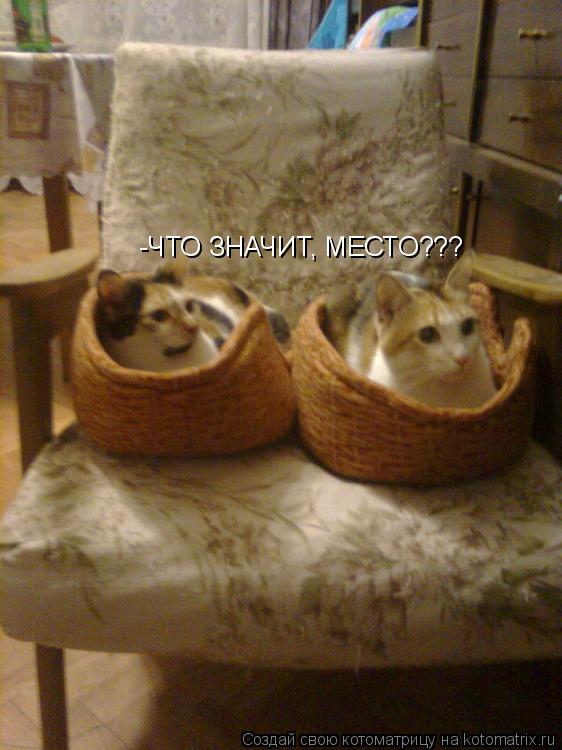 -ЧТО ЗНАЧИТ, МЕСТО???... Котоматрица: -ЧТО ЗНАЧИТ, МЕСТО???