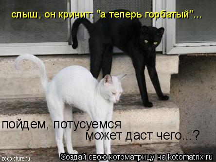 слыш, он кричит: "а теперь горбатый"... пойдем, потусуемся может даст чего...?... Котоматрица: слыш, он кричит: "а теперь горбатый"... пойдем, потусуемся может даст чего...?