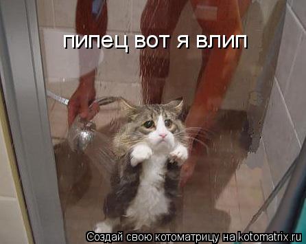 пипец вот я влип... Котоматрица: пипец вот я влип