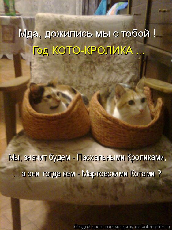 Мда, дожились мы с тобой ! Год КОТО-КРОЛИКА ... Мы, значит будем - Пасхальными Кроликами, ... а они ... Котоматрица: Мда, дожились мы с тобой ! Год КОТО-КРОЛИКА ... Мы, значит будем - Пасхальными Кроликами, ... а они тогда кем - Мартовскими Котами ?