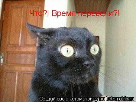 Что?! Время перевели?!... Котоматрица: Что?! Время перевели?!