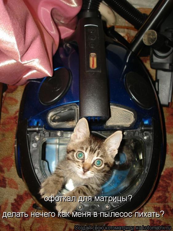 сфоткал для матрицы? делать нечего как меня в пылесос пихать?... Котоматрица: сфоткал для матрицы? делать нечего как меня в пылесос пихать?