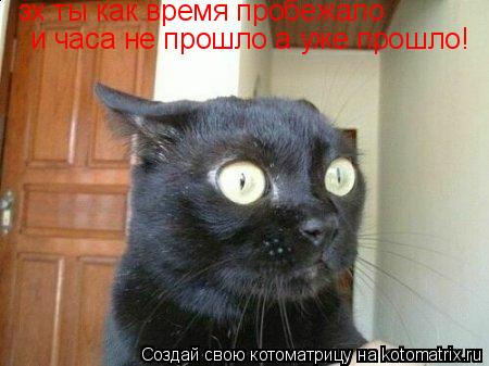 зх ты как время пробежало и часа не прошло а уже прошло!... Котоматрица: зх ты как время пробежало и часа не прошло а уже прошло!
