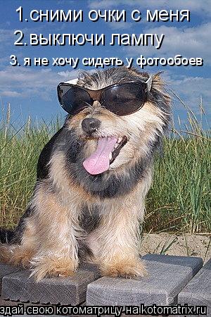 1.сними очки с меня 2.выключи лампу 3. я не хочу сидеть у фотообоев... Котоматрица: 1.сними очки с меня 2.выключи лампу 3. я не хочу сидеть у фотообоев