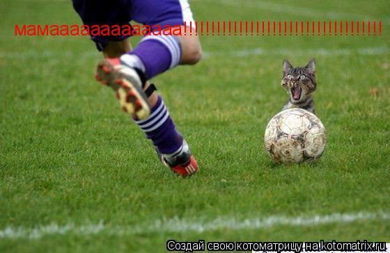 мамааааааааааааа!!!!!!!!!!!!!!!!!!!!!!!!!!!!!!!!!!!!... Котоматрица: мамааааааааааааа!!!!!!!!!!!!!!!!!!!!!!!!!!!!!!!!!!!!