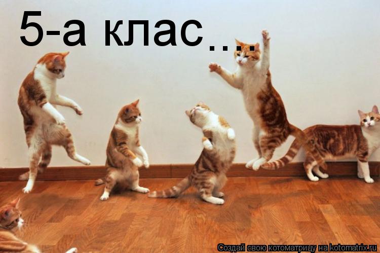 5-а клас ....... Котоматрица: 5-а клас ....