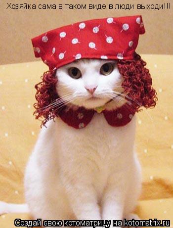 Хозяйка сама в таком виде в люди выходи!!!... Котоматрица: Хозяйка сама в таком виде в люди выходи!!!