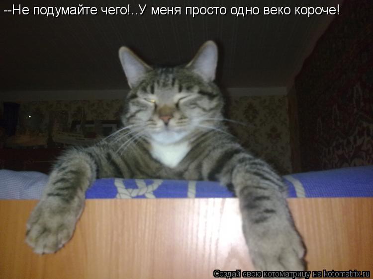 --Не подумайте чего!..У меня просто одно веко короче!... Котоматрица: --Не подумайте чего!..У меня просто одно веко короче!