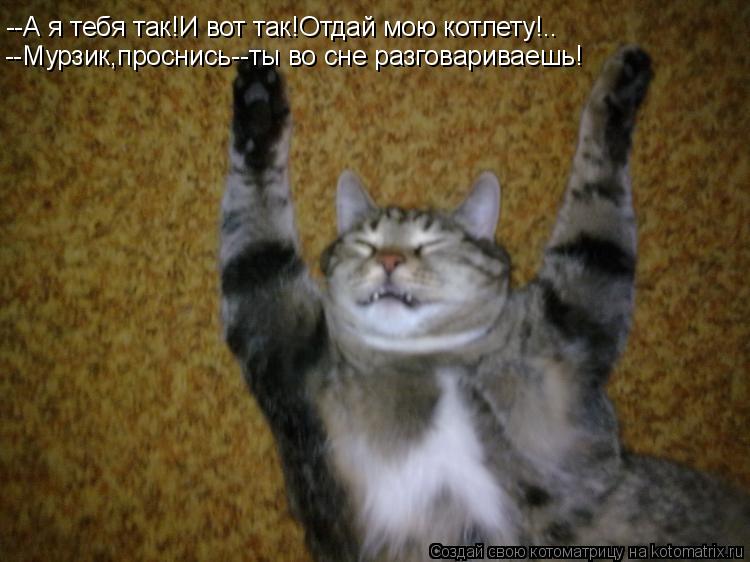 --А я тебя так!И вот так!Отдай мою котлету!.. --Мурзик,проснись--ты во сне разговариваешь!... Котоматрица: --А я тебя так!И вот так!Отдай мою котлету!.. --Мурзик,проснись--ты во сне разговариваешь!