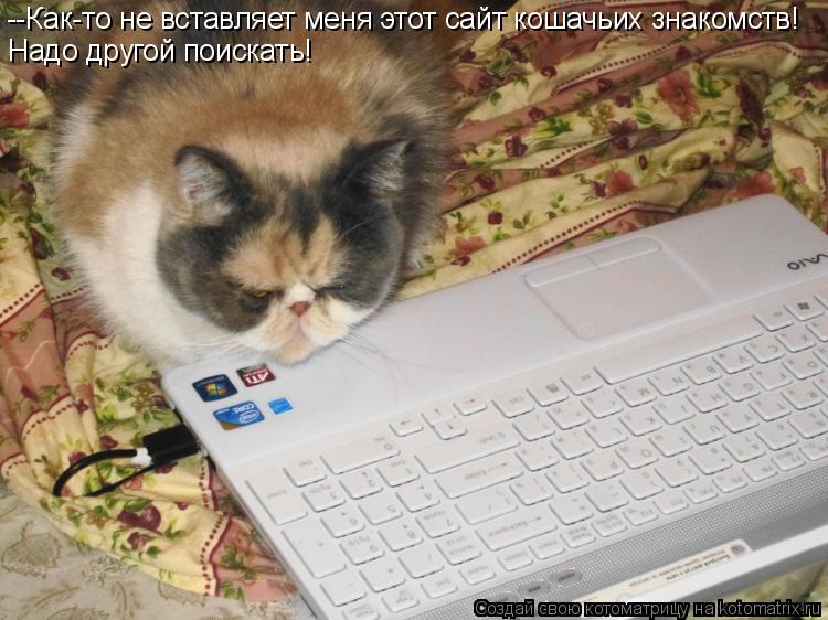 --Как-то не вставляет меня этот сайт кошачьих знакомств! Надо другой поискать!... Котоматрица: --Как-то не вставляет меня этот сайт кошачьих знакомств! Надо другой поискать!