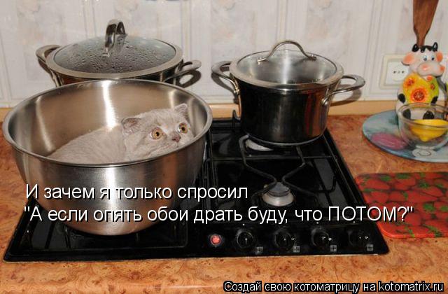 И зачем я только спросил "А если опять обои драть буду, что ПОТОМ?"... Котоматрица: И зачем я только спросил "А если опять обои драть буду, что ПОТОМ?"