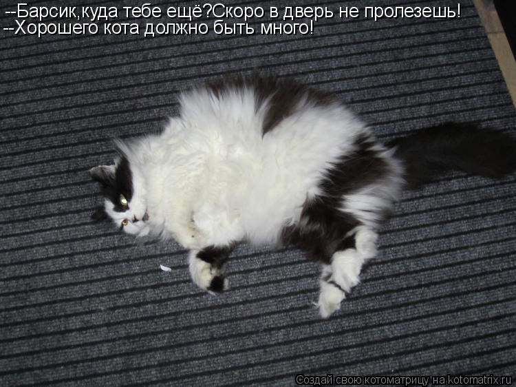 --Барсик,куда тебе ещё?Скоро в дверь не пролезешь! --Хорошего кота должно быть много!... Котоматрица: --Барсик,куда тебе ещё?Скоро в дверь не пролезешь! --Хорошего кота должно быть много!