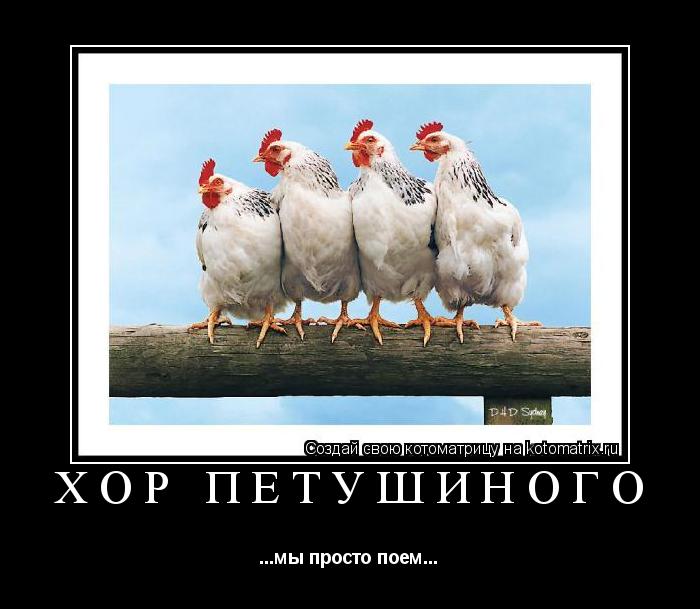 хор петушиного ...мы просто поем...... Котоматрица: хор петушиного ...мы просто поем...