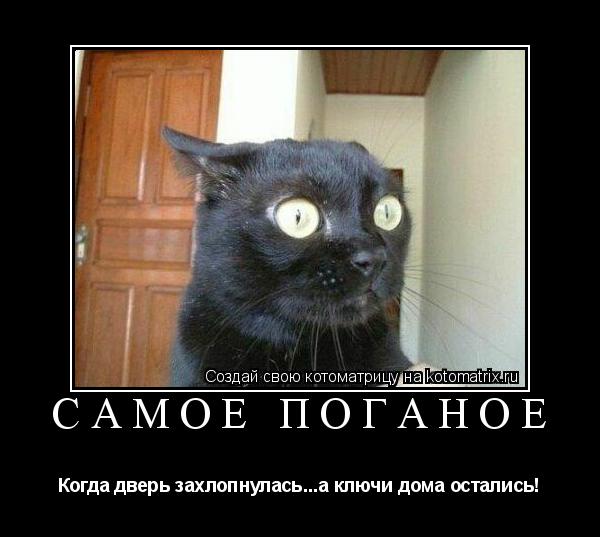 САМОЕ ПОГАНОЕ Когда дверь захлопнулась...а ключи дома остались!... Котоматрица: САМОЕ ПОГАНОЕ Когда дверь захлопнулась...а ключи дома остались!