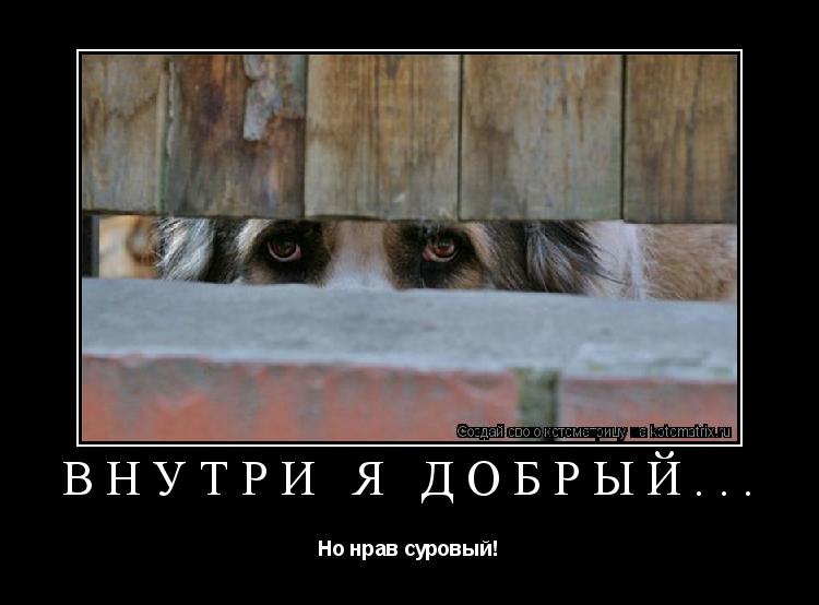 Внутри я добрый... Но нрав суровый!... Котоматрица: Внутри я добрый... Но нрав суровый!