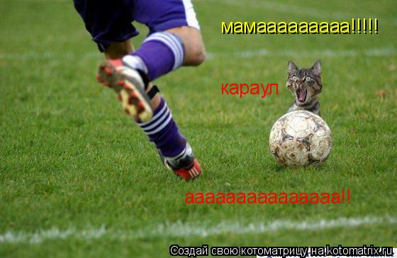 мамааааааааа!!!!! караул ааааааааааааааа!!... Котоматрица: мамааааааааа!!!!! караул ааааааааааааааа!!