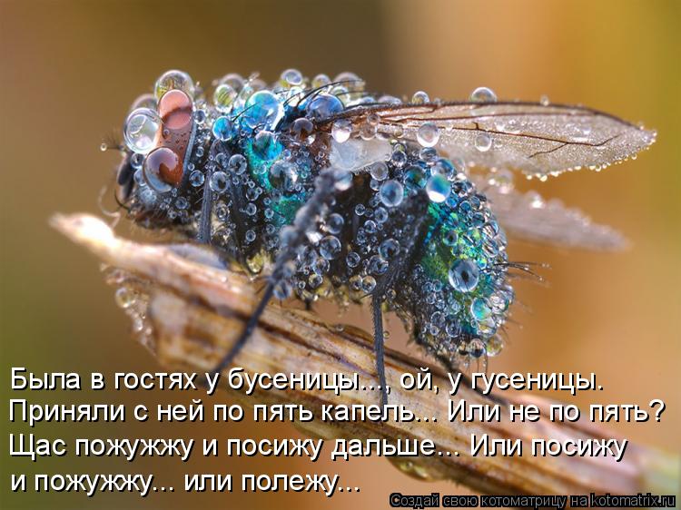     ..., ,  .      ...    ?     ...    ... 