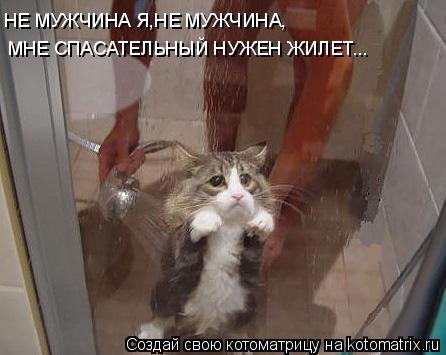 НЕ МУЖЧИНА Я,НЕ МУЖЧИНА, МНЕ СПАСАТЕЛЬНЫЙ НУЖЕН ЖИЛЕТ...... Котоматрица: НЕ МУЖЧИНА Я,НЕ МУЖЧИНА, МНЕ СПАСАТЕЛЬНЫЙ НУЖЕН ЖИЛЕТ...