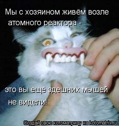 Мы с хозяином живём возле атомного реактора - это вы ещё здешних мышей не видели!... Котоматрица: Мы с хозяином живём возле атомного реактора - это вы ещё здешних мышей не видели!