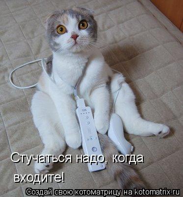 Стучаться надо, когда входите!... Котоматрица: Стучаться надо, когда входите!