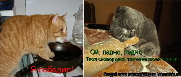 Я победил! Ой, ладно, ладно Твоя сковородка тяжелее моей скалки... Котоматрица: Я победил! Ой, ладно, ладно Твоя сковородка тяжелее моей скалки