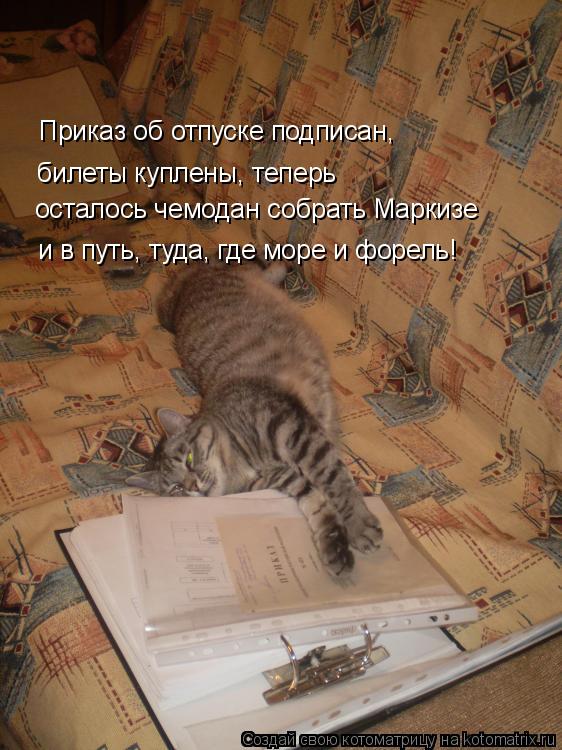 Котоматрица: и в путь, туда, где море и форель! осталось чемодан собрать Маркизе Приказ об отпуске подписан, билеты куплены, теперь