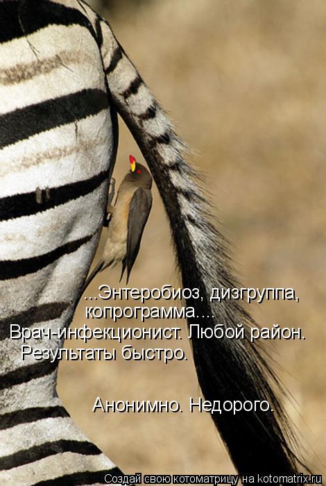 Котоматрица: ...Энтеробиоз, дизгруппа,  копрограмма....  Врач-инфекционист. Любой район.   Результаты быстро.   Анонимно. Недорого.