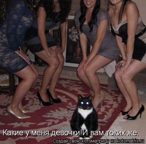 Котоматрица: Какие у меня девочки!И вам токих же.