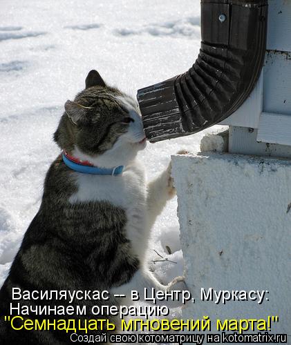 Котоматрица: Василяускас -- в Центр, Муркасу: Начинаем операцию "Семнадцать мгновений марта!"