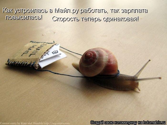 Котоматрица: Как устроилась в Майл.ру работать, так зарплата повысилась! Скорость теперь одинаковая!
