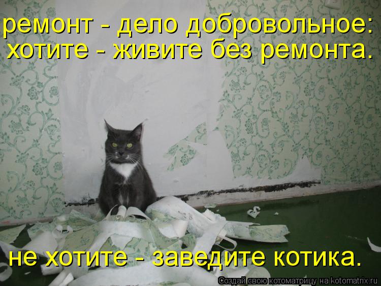 Котоматрица: ремонт - дело добровольное: хотите - живите без ремонта.  не хотите - заведите котика.