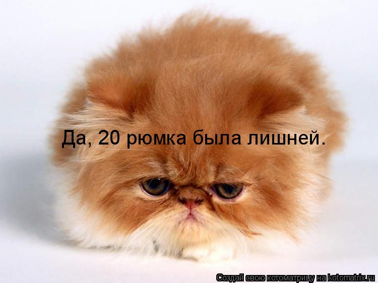 Котоматрица: Да, 20 рюмка была лишней.