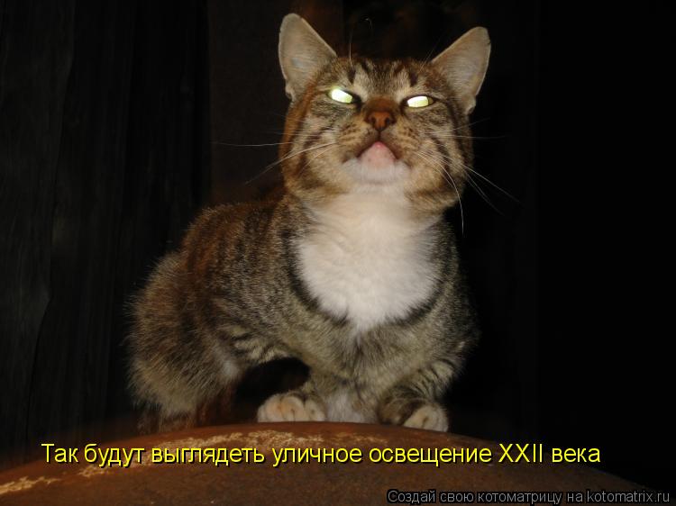 Котоматрица: Так будут выглядеть уличное освещение XXII века