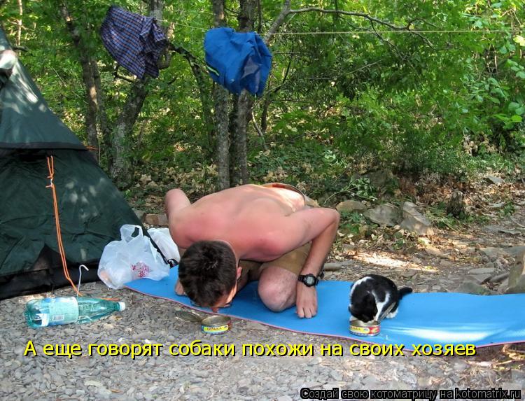 Котоматрица: А еще говорят собаки похожи на своих хозяев