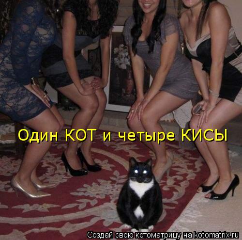 Котоматрица: Один КОТ и четыре КИСЫ