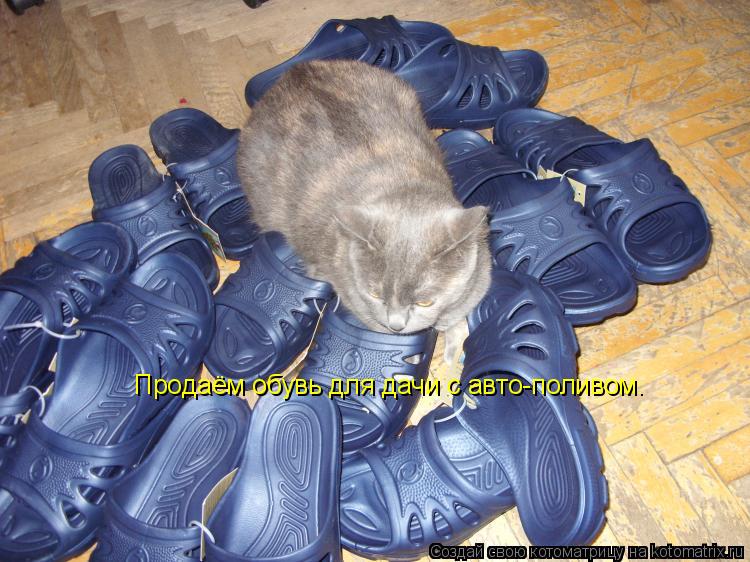 Продаём обувь для дачи с авто-поливом.... Котоматрица: Продаём обувь для дачи с авто-поливом.