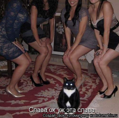 Слава,ох уж эта слава...... Котоматрица: Слава,ох уж эта слава...